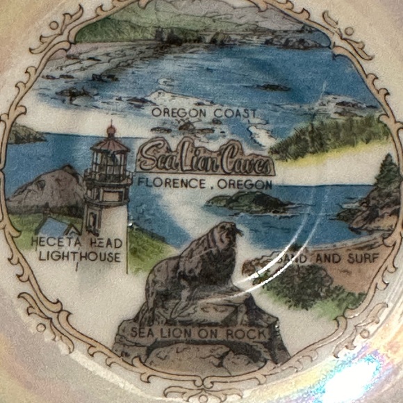 Vintage Sea Lion Caves Oregon Tea cup and Saucer - Picture 3 of 5
